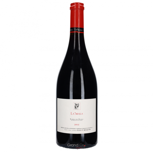 2013 Dominio de Atauta La Roza - Bottle Hero