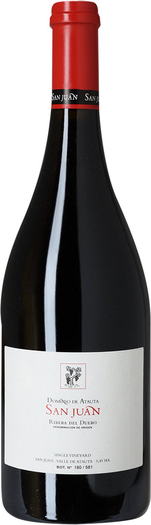 2013 San Juan, Dominio de Atauta, Ribera del Duero - Bottle Hero