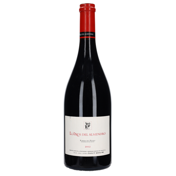 2016 Dominio de Atauta Llanos del Almendro - Bottle Hero