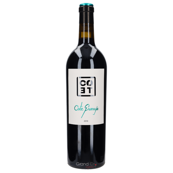 2019 Cote Entrevinos Cote Granuja - Bottle Hero