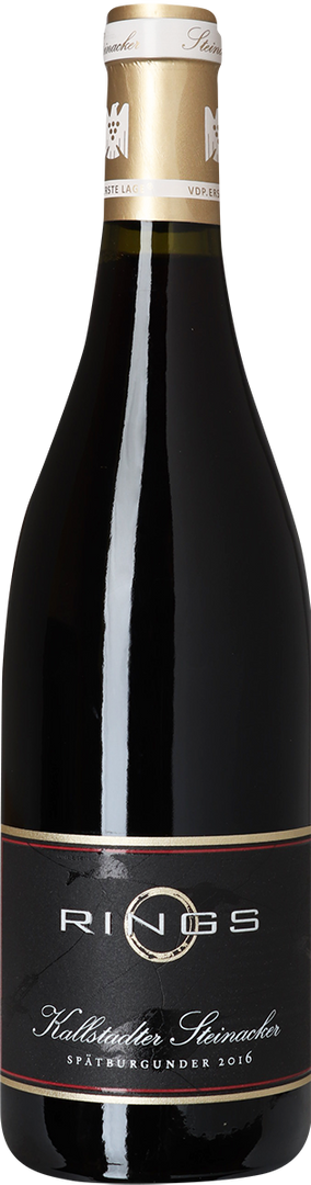 2020 Spätburgunder Kallstadter Steinacker, 1. Lage, Weingut Rings, Pfalz