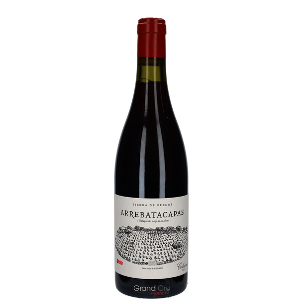 2023 Telmo Rodriguez Pegaso Arrebatacapas - Bottle Hero