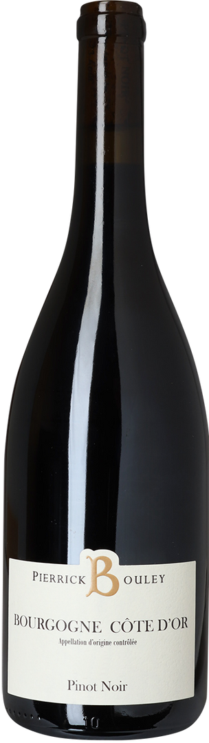 2021 Bourgogne Côte d'Or Pinot Noir, Pierrick Bouley - Bottle Hero