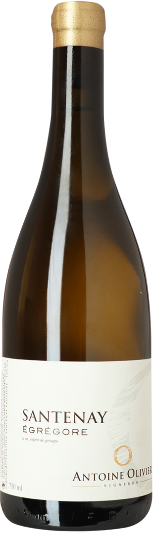 2021 Santenay Égregore, Domaine Antoine Olivier