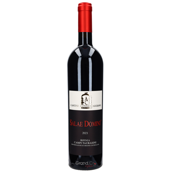 2024 Antonio Caggiano Salae Domini Irpinia Campi Taurasini - Bottle Hero