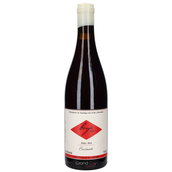 2023 Envinate Benje Tinto - Bottle Hero