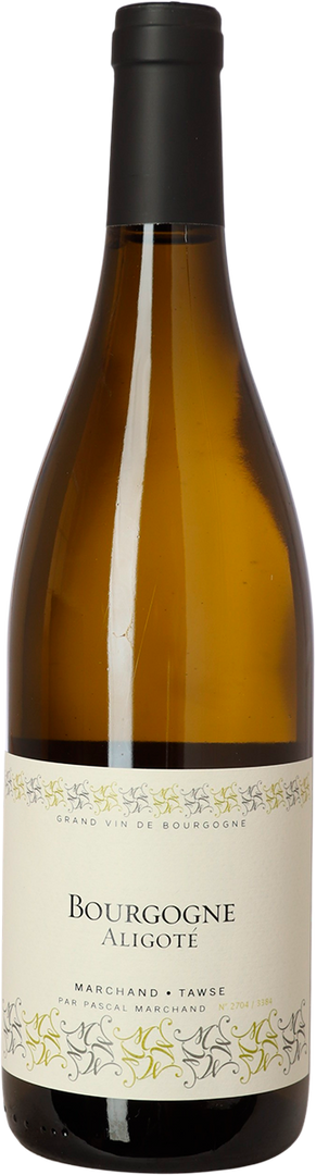 2022 Aligoté, Marchand-Tawse - Bottle Hero