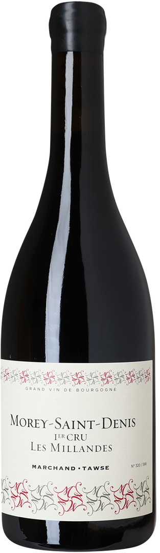 2022 Morey-Saint-Denis Les Millandes 1.Cru, Domaine Marchand-Tawse - Bottle Hero