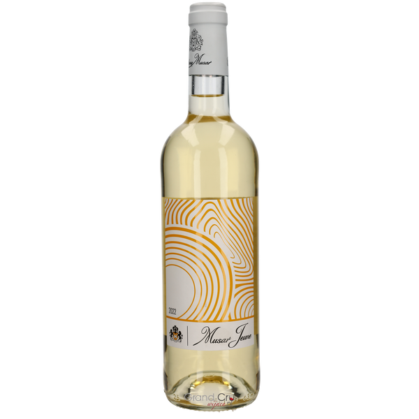 2023 Chateau Musar Jeune Blanc - Bottle Hero