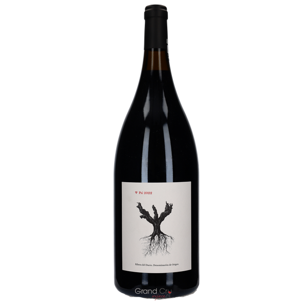 2023 Dominio de Pingus PSI Peter Sisseck Magnum - Bottle Hero