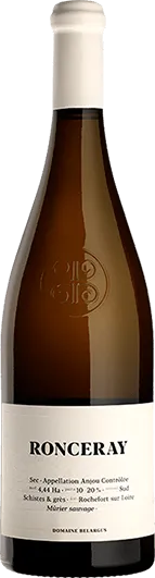 2022 Domaine Belargus Anjou Noir - Bottle Hero