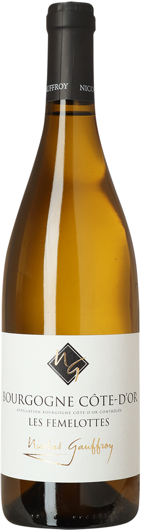 2023 Bourgogne Blanc les Femelottes, Domaine Nicolas-Gauffroy - Bottle Hero