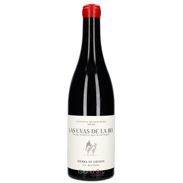 2023 Daniel Landi Viticultor Las Uvas de la Ira - Bottle Hero