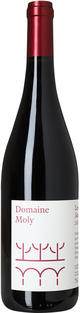 2023 Les Sybarites Rouge, Saumur-Champigny, Domaine Moly - Bottle Hero