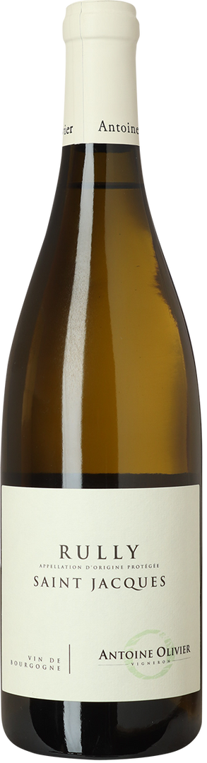 2023 Rully Blanc, Saint Jacques, Domaine Antoine Olivier