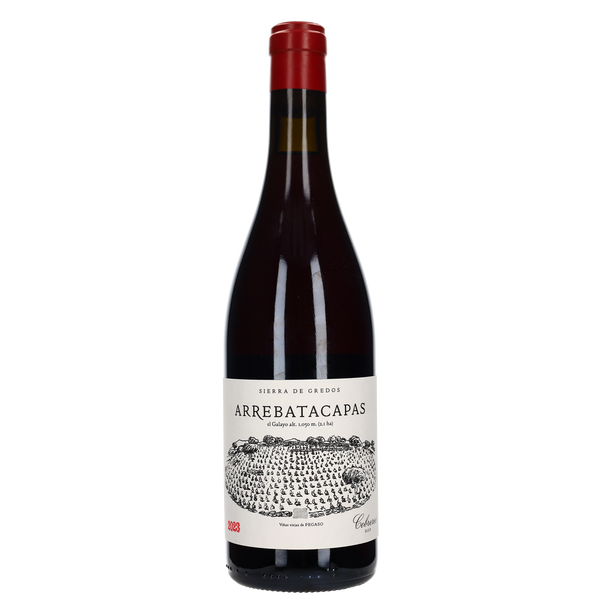 2023 Telmo Rodriguez Pegaso Arrebatacapas - Bottle Hero