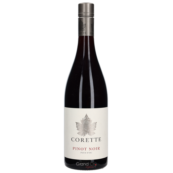 2024 Corette Pinot Noir - Bottle Hero