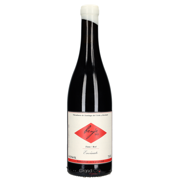 2024 Envinate Benje Tinto - Bottle Hero