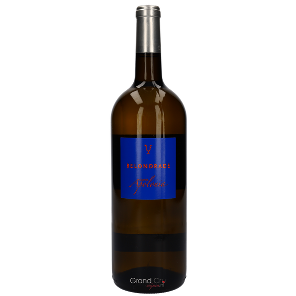 2025 Quinta Apolonia Belondrade Magnum - Bottle Hero
