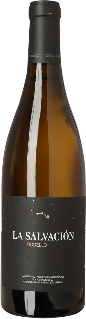 2024 La Salvación Godello, César Márquez, Bierzo