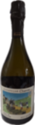 NV Chavost, Blanc de Chardonnay Brut Nature - Bottle Hero
