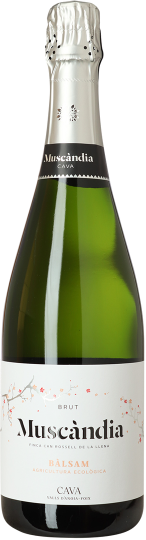 NV Muscàndia Balsam Brut - Bottle Hero