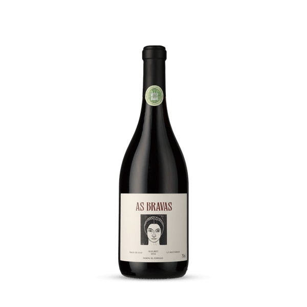 El Enemigo, As Bravas Pampa El Cepillo Malbec 2016 - Bottle Hero