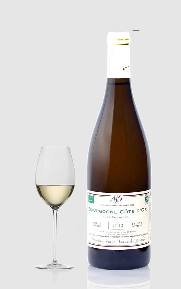 Domaine Jean-Pierre Maldant, Burgundy Côte d'Or white Les Equinces 2023 - Bottle Hero
