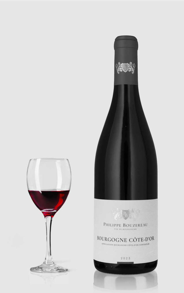 Domaine Philippe Bouzereau, Bourgogne Cote D’or 2023 - Bottle Hero