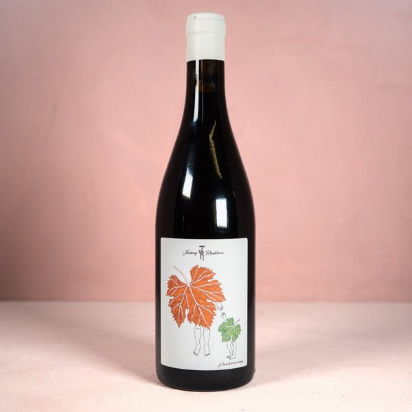 Jérémy Recchione, Coteaux Bourguignon Rouge 2024 - Bottle Hero