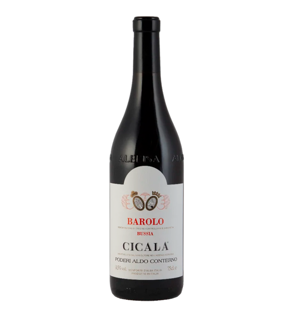 Conterno Barolo Vigna Cicala 2000 Magnum - Bottle Hero