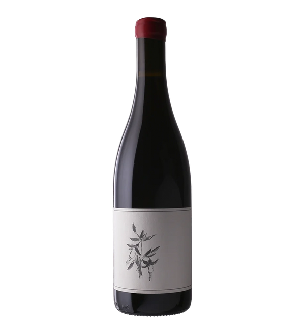 Arnot-Roberts Zinfandel, Kirschenmann Vineyard 2022 - Bottle Hero