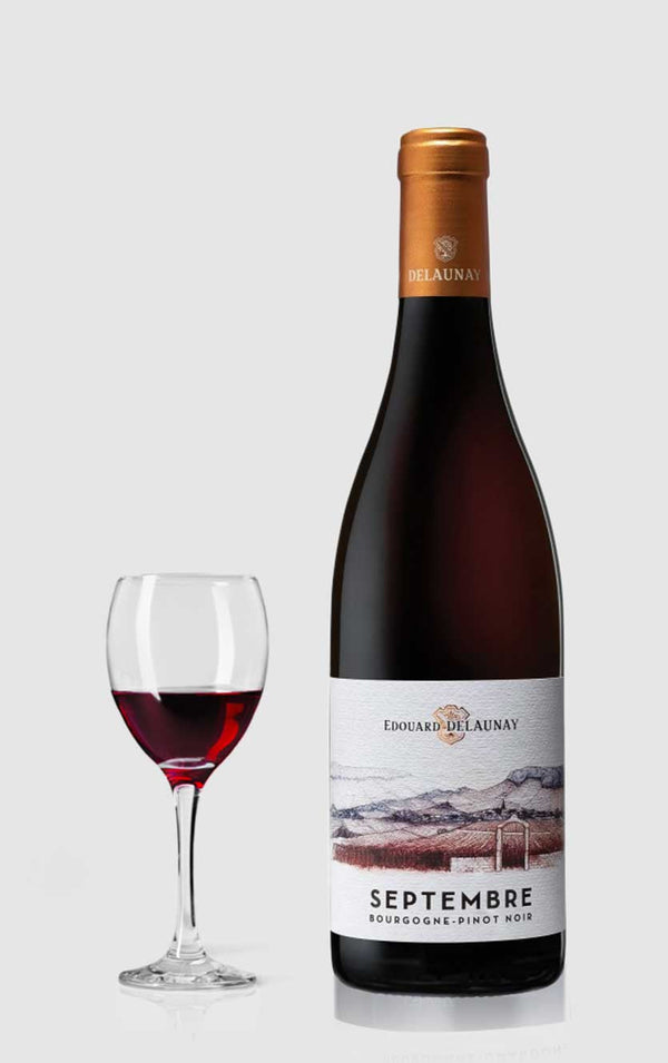 Edouard Delaunay, Bourgogne Pinot Noir Septembre 2022 - Bottle Hero
