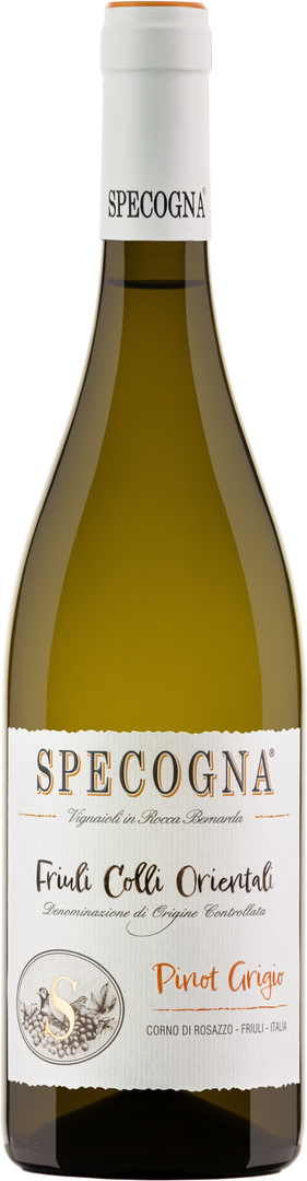 Specogna, Pinot Grigio DOC, 2025 - Bottle Hero