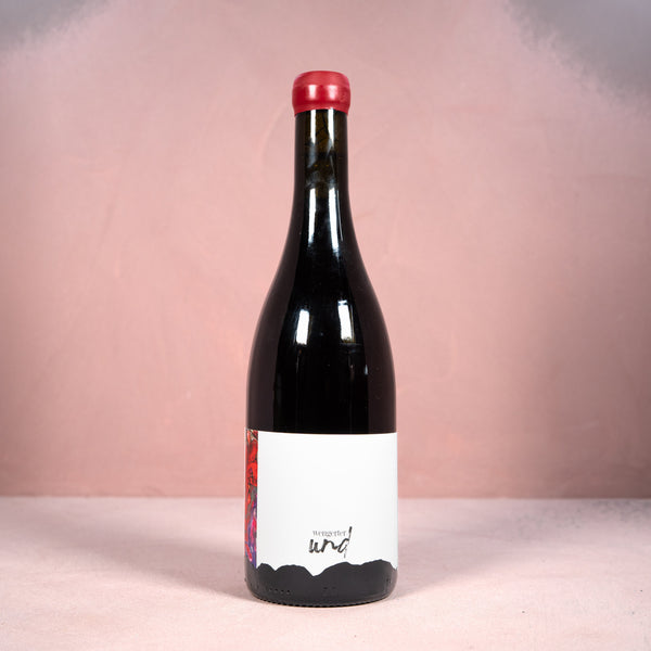 Wengerter Und, Hearken Samtrot 2023 - Bottle Hero