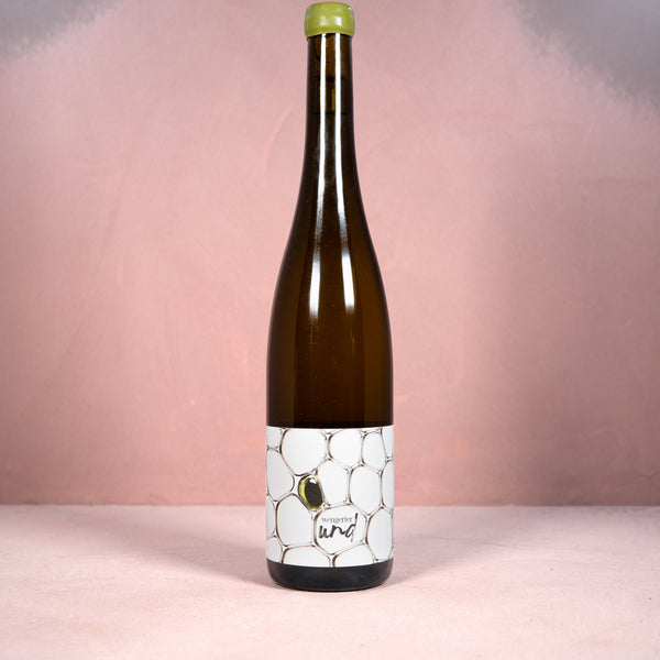 Wengerter Und, Silvaner Clos Catherine 2023 - Bottle Hero