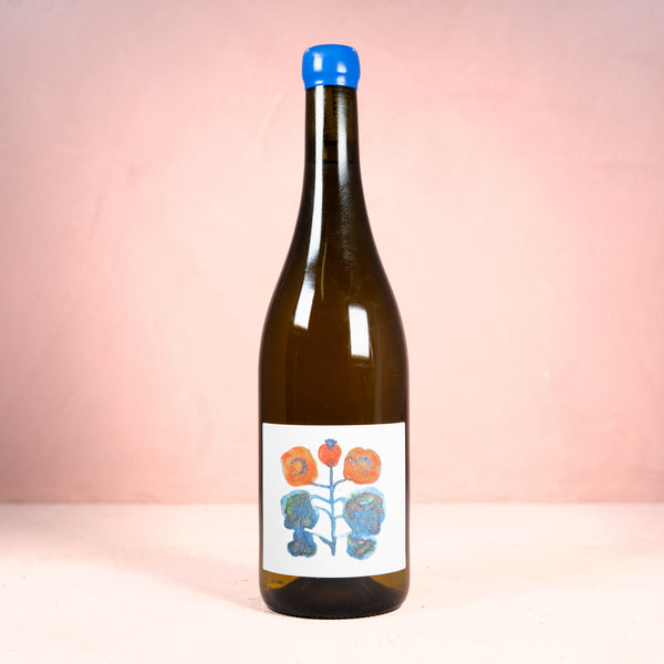 Cigliano di Sopra, Nuvola 2024 - Bottle Hero