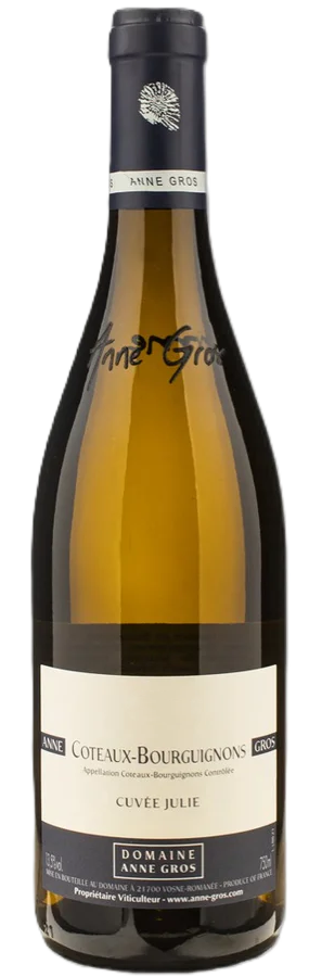 Domaine Anne Gros, Côteaux Bourguignons BLANC "Cuvée Julie" 2024 - Bottle Hero