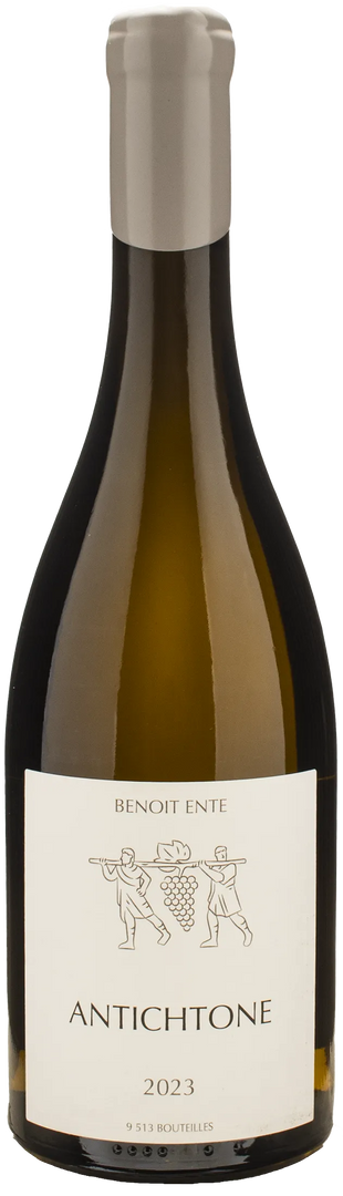 Benoit Ente Aligote Antichtone 2023