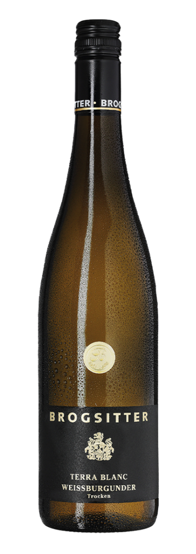 Brogsitter Weingüter, Rheinhessen Terra Blanc Weissburgunder 2023 - Bottle Hero