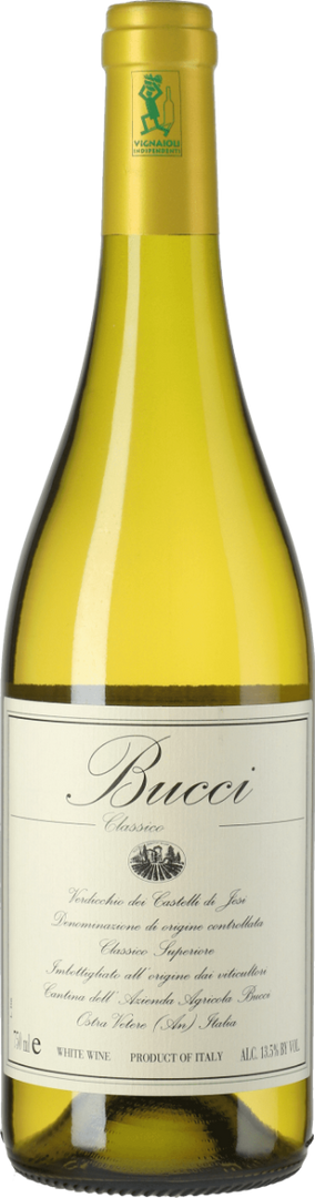 Bucci, Verdicchio dei Castelli di Jesi Classico Superiore D.O.C. 2024  - Bottle Hero