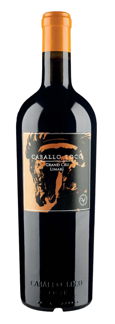 Caballo Loco, Limari Grand Cru Limari 2023 - Bottle Hero