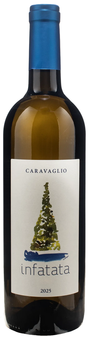Caravaglio Malvasia Salina Infatata 2025 - Bottle Hero