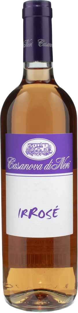 Casanova di Neri IRRose 2022