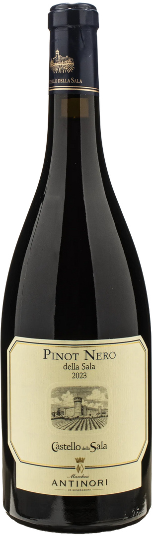 Castello della Sala Pinot Nero della Sala 2023