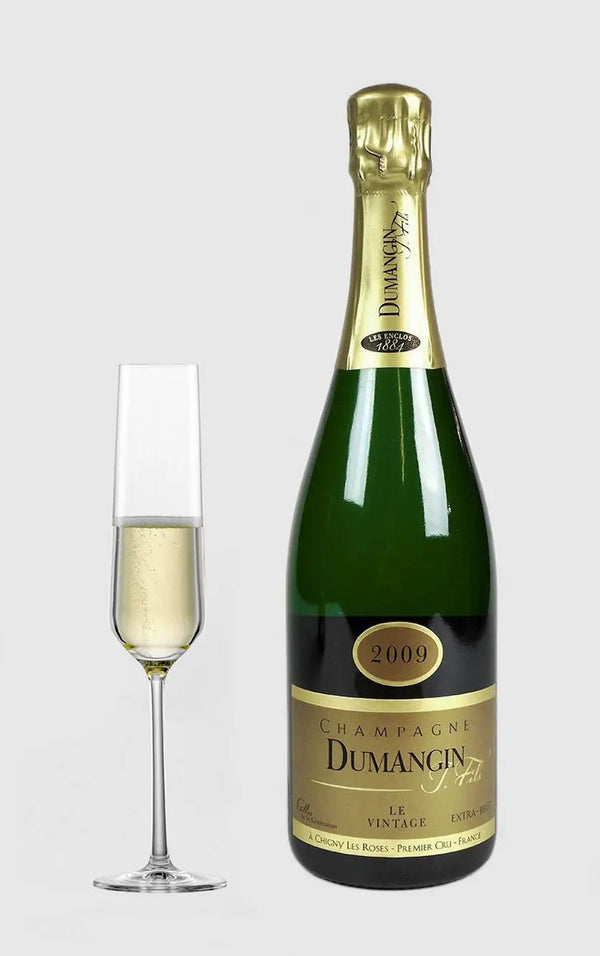 Champagne Dumangin Fils Premier Cru Extra Brut 2009 - Bottle Hero