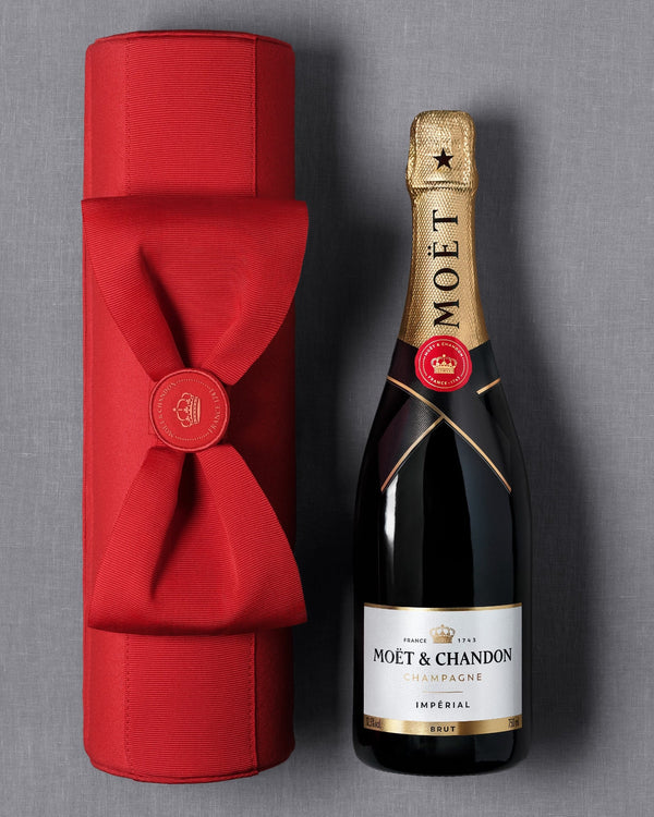 Champagne Moët & Chandon Brut Limited Edition The Pouch - Bottle Hero
