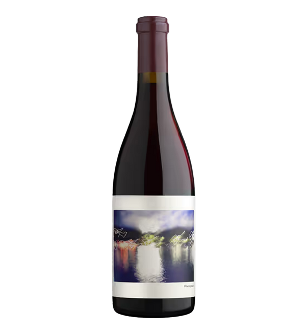 Chanin Los Alamos Vineyard Pinot Noir 2022 - Bottle Hero