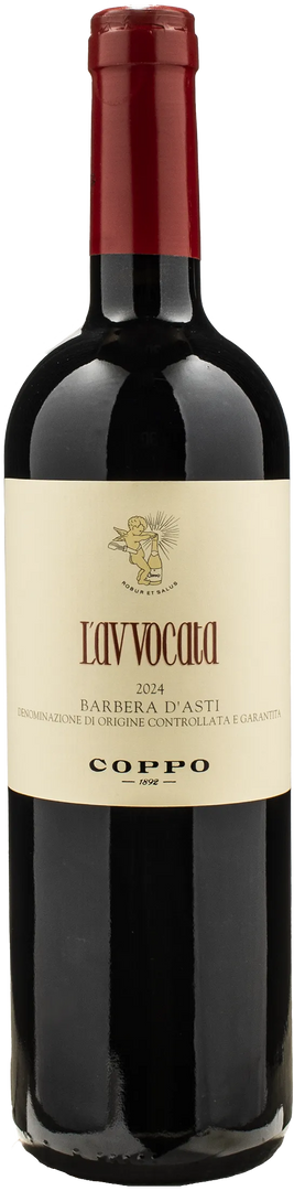 Coppo Barbera d'Asti L'Avvocata 2024