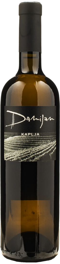Damijan Podversic Kaplja 2021